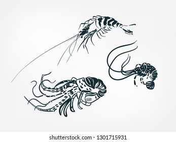 lobster shrimp set collection japanese chinese oriental vector ink style design elements illustration