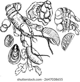 Lagosta, camarão e marisco desenhados em estilo de esboço para o menu de frutos do mar