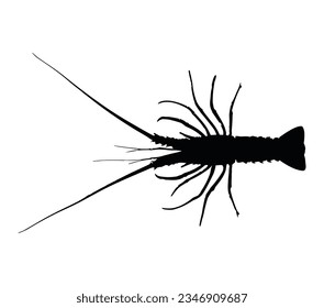 Lobster silhouette vector on a white background.