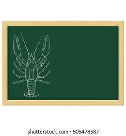 Lobster sketch. Chalk on green blackboard. Vector illustration isolated on white background
