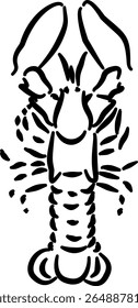 Lobster sketch for food label restaurant packaging culinary branding coastal decorVector illustration