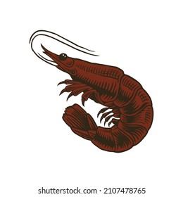 Lobster sketch ink. Isolated on a white background. Hand drawn vector illustration. Retro style.