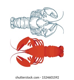 Lobster. Sketch and realistic drawn lobsters vector illustrations set. Part of seafood set. 