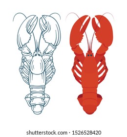 Lobster. Sketch and realistic drawn lobsters vector illustrations set. Part of seafood set. 