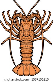 lobster stone drawing angrave  illustration
