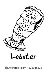 Lobster  tail. Hand drawn isolated illustration with the inscription on a white background