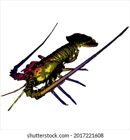Lobster Vector 3d mesh art cartoon. Sea crayfish