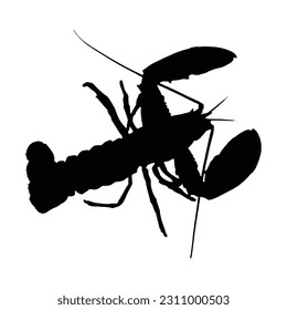 Lobster vector black white silhouette