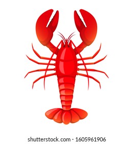 Lobster vector design illustration isolated on white background