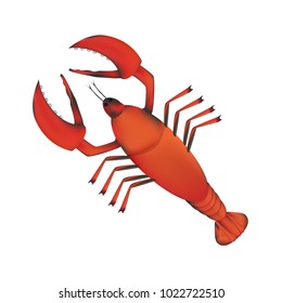 Lobster vector flat illustration isolated on white background. Fresh seafood icon.