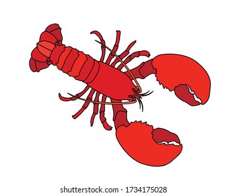 Lobster vector flat illustration isolated on white background. Fresh seafood icon.