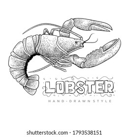 lobster vector with hand drawn style, realistic animal illustration
