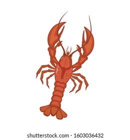 Lobster vector icon.Cartoon vector icon isolated on white background lobster.