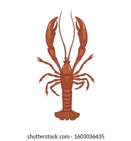 Lobster vector icon.Cartoon vector icon isolated on white background lobster.