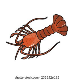 Lobster vector icon.Color vector icon isolated on white background lobster.