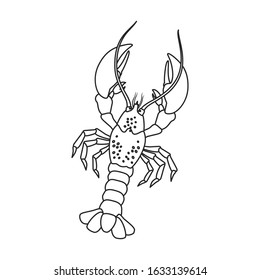 Lobster vector icon.Outline,line vector icon isolated on white background lobster.