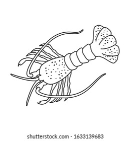 Lobster vector icon.Outline,line vector icon isolated on white background lobster.