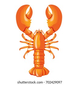 Lobster. Vector illustration