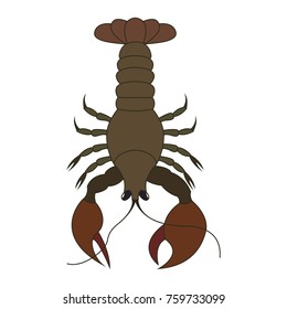Lobster vector illustration