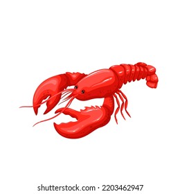 Lobster vector illustration. Cartoon isolated red crawfish, whole underwater crayfish with claws and tail, sea crustacean animal and exotic luxury lobster meal for delicatessen restaurant menu