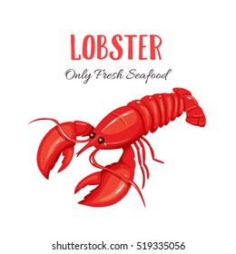 Lobster vector illustration in cartoon style. Seafood product design.