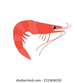 diseño de ilustración vectorial de bogavante adecuado para ilustración vectorial de diseño plano
