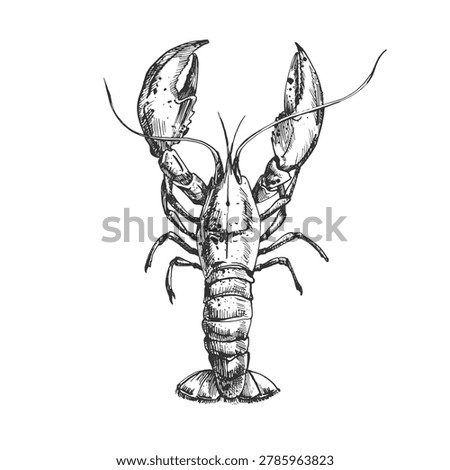 Lobster vector illustration hand drawn with ink