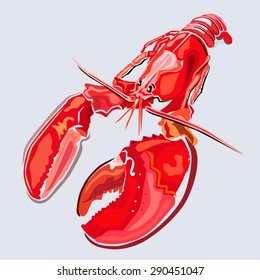 Lobster, vector illustration isolated on grey background 