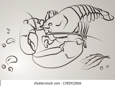 Lobster in vector. Illustration made with lines.