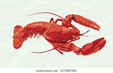 Lobster. Vector illustration of a red crayfish.