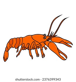 lobster vector illustration,isolated on white background,top view
