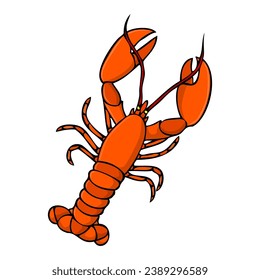 lobster vector illustration,isolated on white background,top view