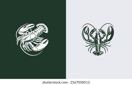 Lobster vector on white background