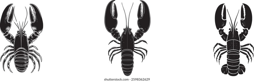 Lobster Vector Set, Isolated on White Background