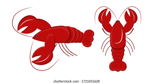 Lobster, view from above, side view. Colored crustacean with claws. Marine delicacy. Vector illustration in flat style, cartoon style