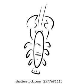 Lobster whimsical doodle, hand drawn lobster 