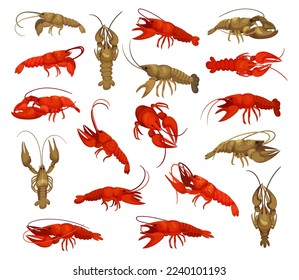 Lobsters as Large Marine Crustaceans and Seafood Big Vector Set