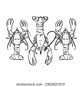 Patrón de langostas. Lobster line art