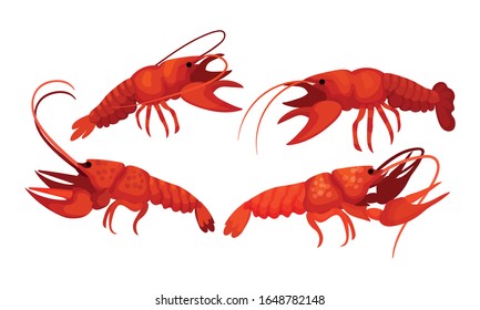 Lobsters with Thick Shell and Strong Chelate Limbs Vector Set