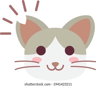 Niño del gato local que cortó una oreja