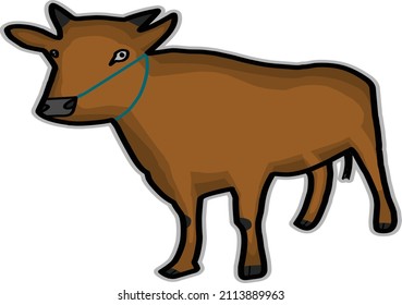 local cow animal vector illustration
