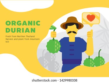 local farmer harvesting fresh organic durian from northern Thailand vector illustration background svg