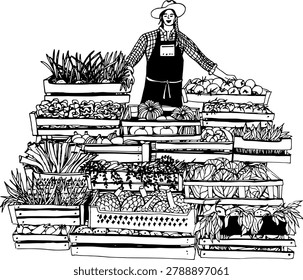Local farmer selling fresh vegetables at outdoor marketplace stall illustration