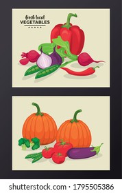 local fresh vegetables letterings in backgrounds beige vector illustration design