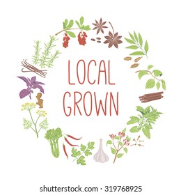 Local Grown vector concept. Healthy diet style illustration. Isolated nuts, can be used in restaurant menu, cooking books and organic farm labels.