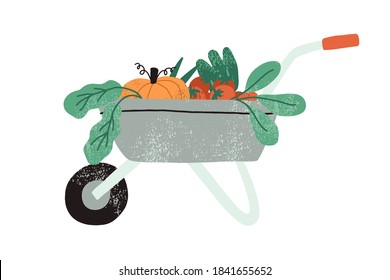 Local organic harvested crops in a wheelbarrow. Autumn vegetables in garden trolley. Harvest gathering time. Agricultural concept. Flat cartoon vector illustration isolated on white background