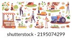 Local organic production. Agriculture worker produce food product in garden, localization market farming harvest farmer selling vegetable and fruit, vector illustration of farm agriculture organic