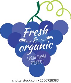 Local vineyard logo. Grape shape for fresh organic farm product