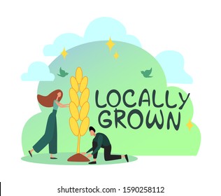 Locally grown concept flat design. Small people work on large object. Green palette