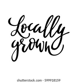 Locally grown hand drawn logo, label. Vector illustration eps 10 for food and drink, restaurants, menu, bio markets and organic products. Brush lettering, calligraphy. Isolated